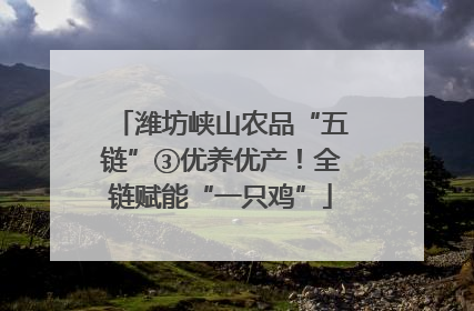 潍坊峡山农品“五链”③优养优产！全链赋能“一只鸡”