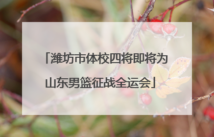 潍坊市体校四将即将为山东男篮征战全运会