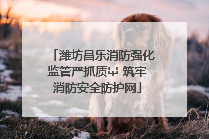 潍坊昌乐消防强化监管严抓质量 筑牢消防安全防护网