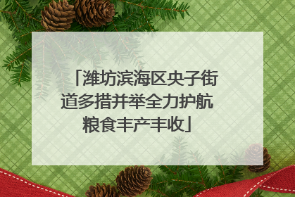潍坊滨海区央子街道多措并举全力护航粮食丰产丰收
