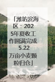 潍坊滨海区：2025年夏收工作圆满完成 5.22万亩小麦颗粒归仓
