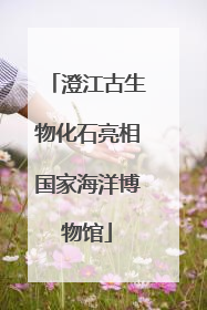 澄江古生物化石亮相国家海洋博物馆