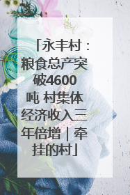 永丰村：粮食总产突破4600吨 村集体经济收入三年倍增｜牵挂的村