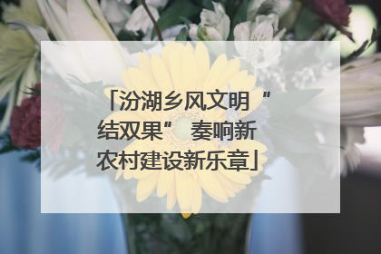 汾湖乡风文明“结双果” 奏响新农村建设新乐章
