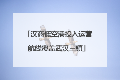 汉商低空港投入运营 航线覆盖武汉三镇