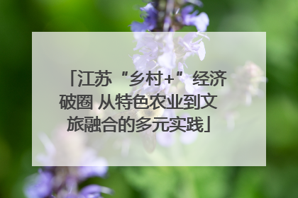 江苏“乡村+”经济破圈 从特色农业到文旅融合的多元实践