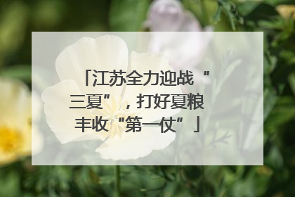 江苏全力迎战“三夏”，打好夏粮丰收“第一仗”