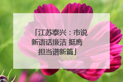 江苏泰兴：市说新语话廉洁 挺膺担当谱新篇