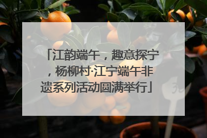 江韵端午，趣意探宁，杨柳村·江宁端午非遗系列活动圆满举行