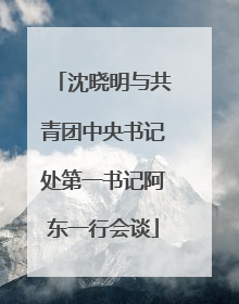 沈晓明与共青团中央书记处第一书记阿东一行会谈