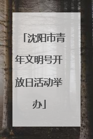 沈阳市青年文明号开放日活动举办