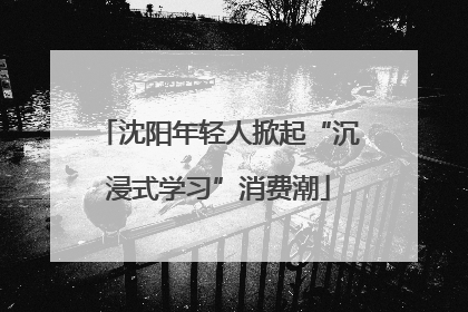 沈阳年轻人掀起“沉浸式学习”消费潮