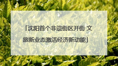 沈阳首个非遗街区开街 文旅新业态激活经济新动能