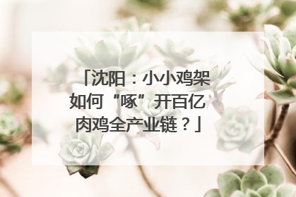 沈阳：小小鸡架如何“啄”开百亿肉鸡全产业链？