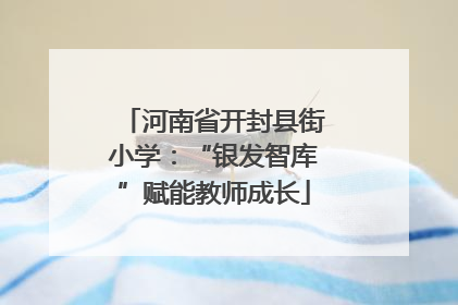 河南省开封县街小学：“银发智库”赋能教师成长