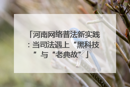 河南网络普法新实践：当司法遇上“黑科技”与“老典故”