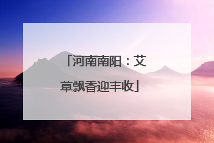 河南南阳：艾草飘香迎丰收