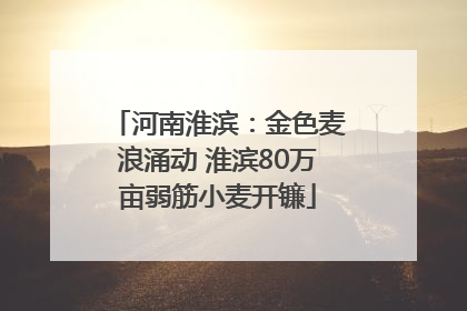 河南淮滨：金色麦浪涌动 淮滨80万亩弱筋小麦开镰