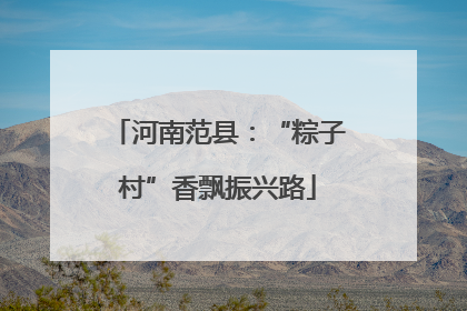 河南范县：“粽子村”香飘振兴路