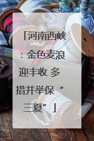 河南西峡：金色麦浪迎丰收 多措并举保“三夏”