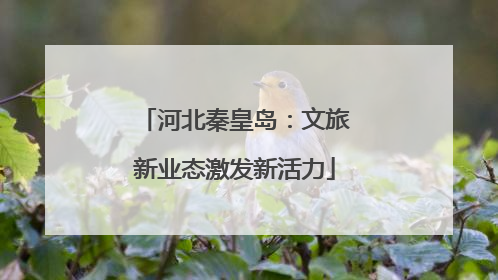 河北秦皇岛：文旅新业态激发新活力