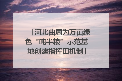 河北曲周为万亩绿色“吨半粮”示范基地创建指挥田机制