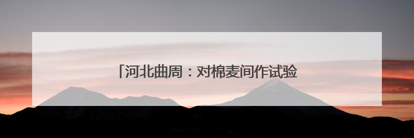 河北曲周：对棉麦间作试验田进行实打实收现场测产