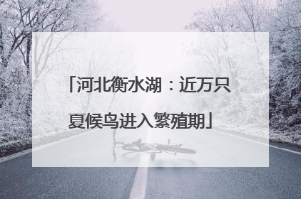 河北衡水湖：近万只夏候鸟进入繁殖期