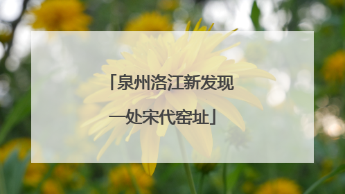 泉州洛江新发现一处宋代窑址