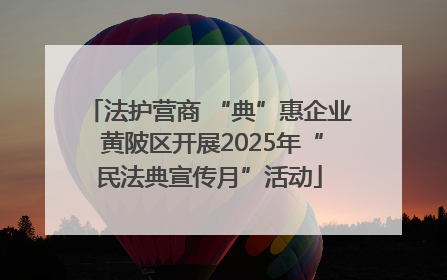 法护营商 “典”惠企业 黄陂区开展2025年“民法典宣传月”活动