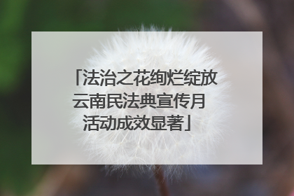 法治之花绚烂绽放 云南民法典宣传月活动成效显著