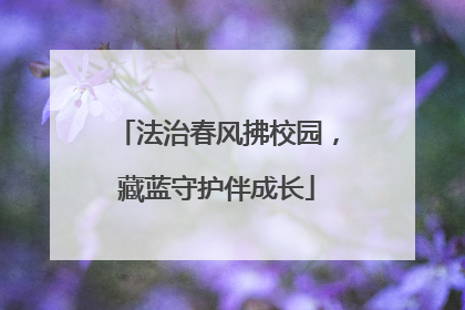 法治春风拂校园，藏蓝守护伴成长