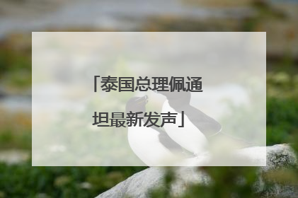 泰国总理佩通坦最新发声