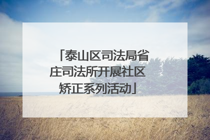 泰山区司法局省庄司法所开展社区矫正系列活动
