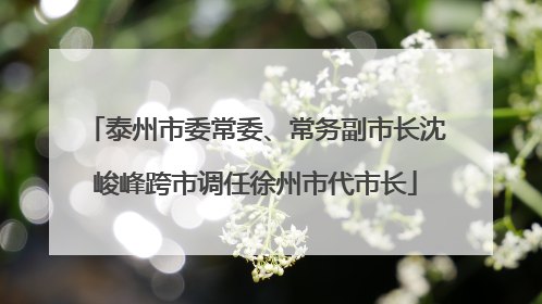 泰州市委常委、常务副市长沈峻峰跨市调任徐州市代市长