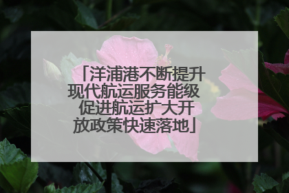 洋浦港不断提升现代航运服务能级 促进航运扩大开放政策快速落地