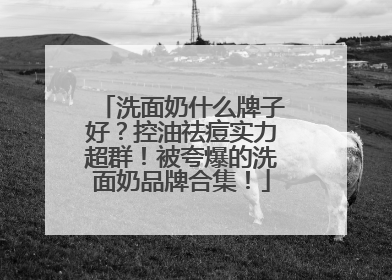 洗面奶什么牌子好？控油祛痘实力超群！被夸爆的洗面奶品牌合集！