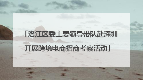 洛江区委主要领导带队赴深圳开展跨境电商招商考察活动