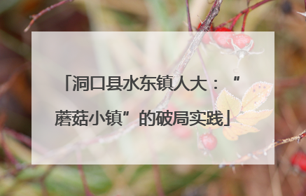 洞口县水东镇人大：“蘑菇小镇”的破局实践