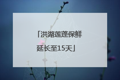 洪湖莲蓬保鲜延长至15天