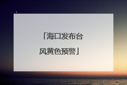 海口发布台风黄色预警