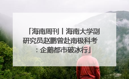 海南周刊丨海南大学副研究员赵鹏曾赴南极科考：企鹅都市破冰行