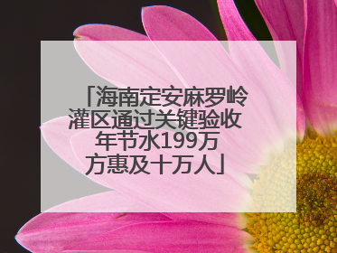 海南定安麻罗岭灌区通过关键验收 年节水199万方惠及十万人