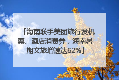 海南联手美团旅行发机票、酒店消费券，海南暑期文旅增速达62%