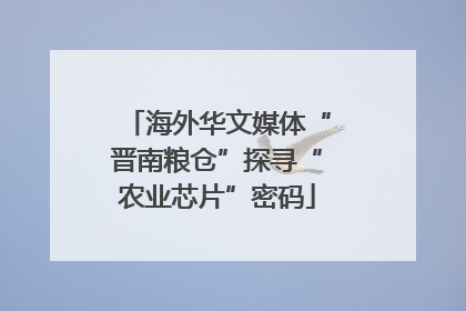 海外华文媒体“晋南粮仓”探寻“农业芯片”密码