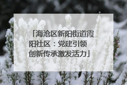 海沧区新阳街道霞阳社区：党建引领 创新传承激发活力