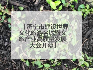 济宁市建设世界文化旅游名城暨文旅产业高质量发展大会开幕