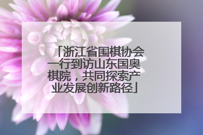 浙江省围棋协会一行到访山东国奥棋院，共同探索产业发展创新路径