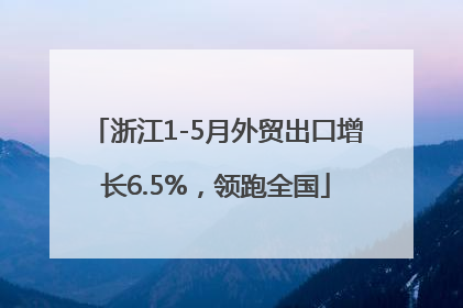 浙江1-5月外贸出口增长6.5%，领跑全国