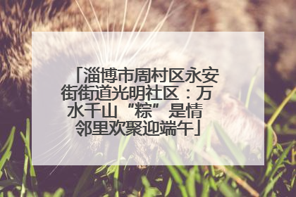 淄博市周村区永安街街道光明社区：万水千山“粽”是情 邻里欢聚迎端午